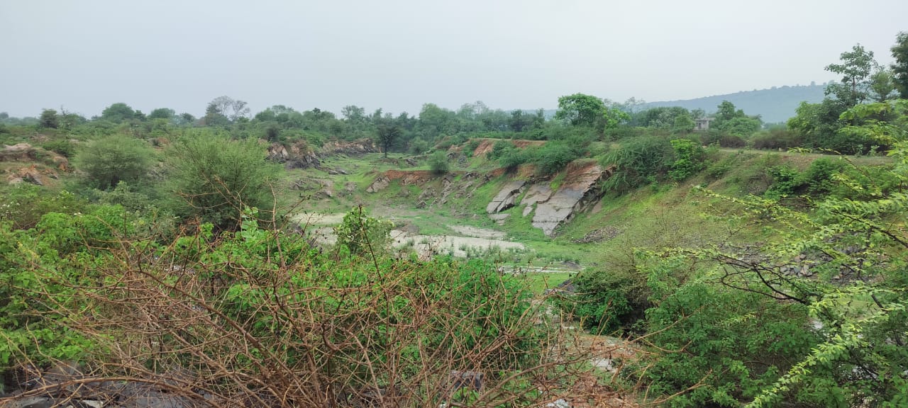 चित्तौड़गढ़ - हरियाली से लहलहाएंगे बंद पड़े माइनिंग क्षेत्र, प्रदेश में चित्तौड़ से हो रही शुरुवात