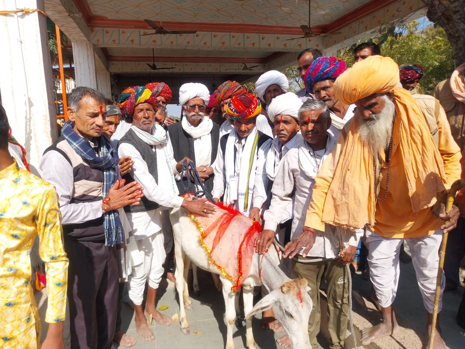 चित्तौड़गढ़ / सांवलियाजी - अनगढ़ बावजी में हुवे गोपूजन एवं सत्संग कार्यक्रम में उमड़े श्रद्धालु