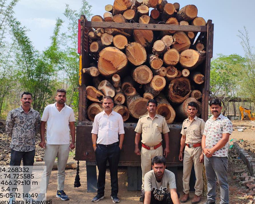 प्रतापगढ़ / छोटीसादड़ी - खातेदारी की आड़ में लकड़ी की तस्करी! नियमों का दुरुपयोग कर शहरों में भेजी जा रही बेशकीमती लकड़ी