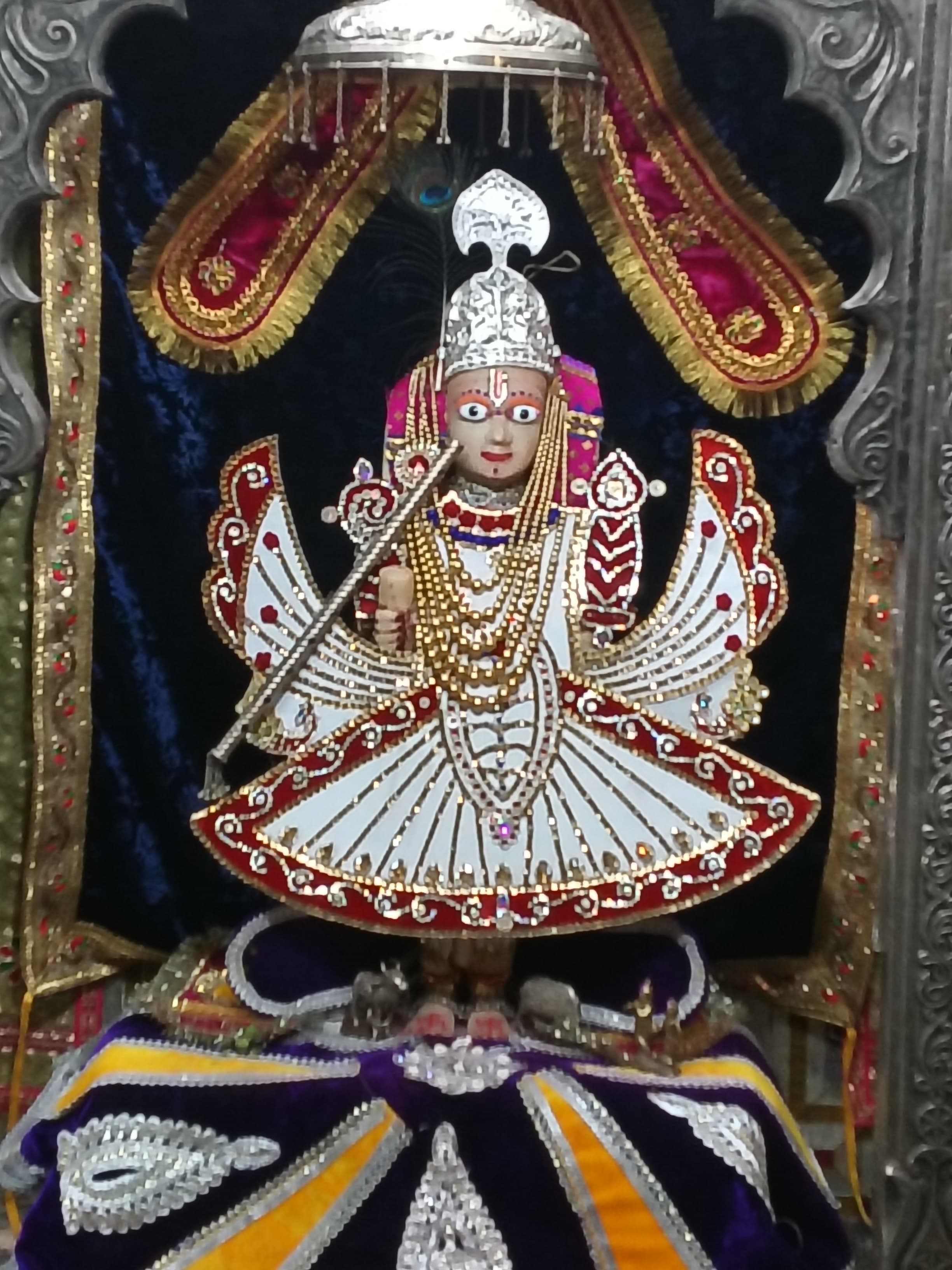 चित्तौड़गढ़ / कपासन - श्री रणछोड़ जी के भंडार से निकली 52 हजार से अधिक की राशि