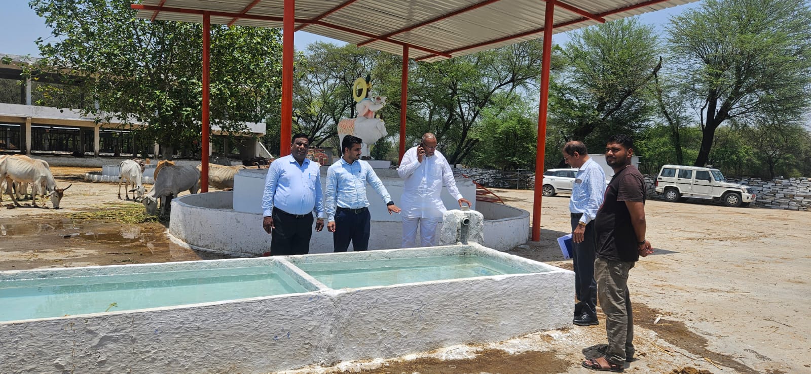 चित्तौड़गढ़ / चिकारड़ा - तहसीलदार ने गौशाला का किया औचक निरीक्षण