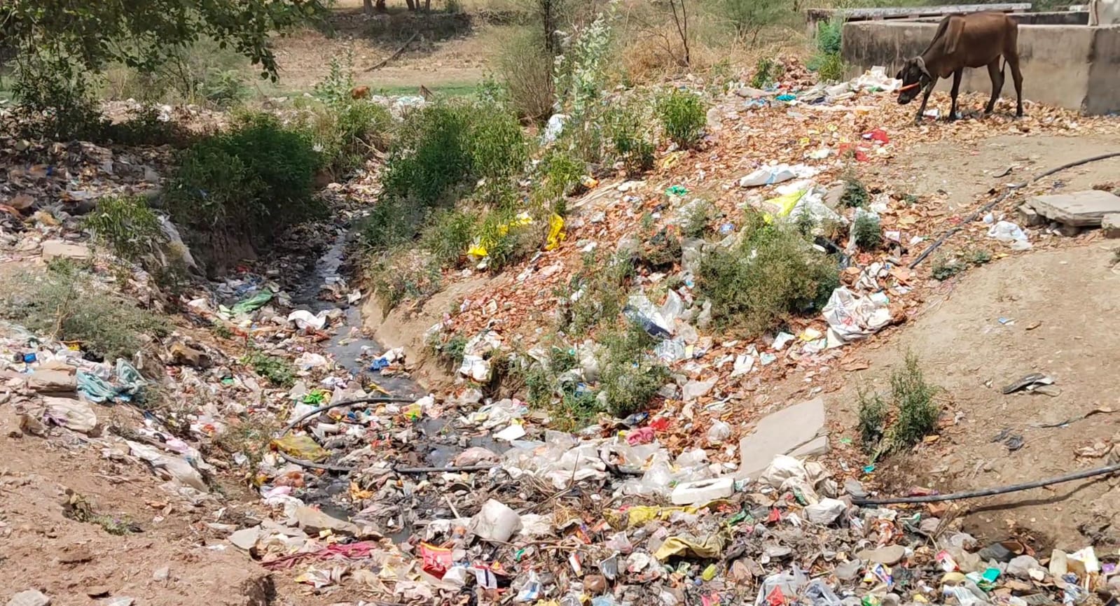 चित्तौड़गढ़ / बेंगू - बेगूं में वंदे गंगा जल संरक्षण अभियान सिर्फ कागजों में, पालिका प्रशासन की उदासीनता सरकार के अभियान पर फेर रही पानी