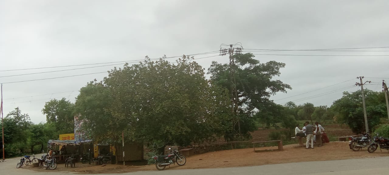 चित्तौड़गढ़ / बस्सी - बड़ले के ऊपर से गुजर रही बिजली लाइन से बड़ी दुर्घटना का अंदेशा