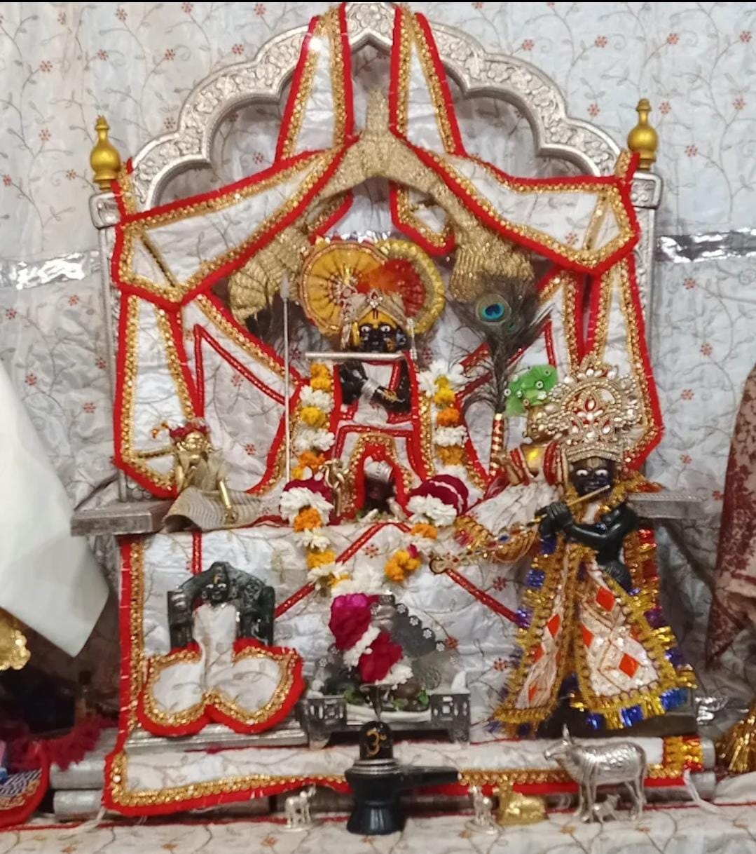 चित्तौड़गढ़ / कपासन - मुंगाणा में गुरु पूर्णिमा महोत्सव की तैयारियों जोरो पर