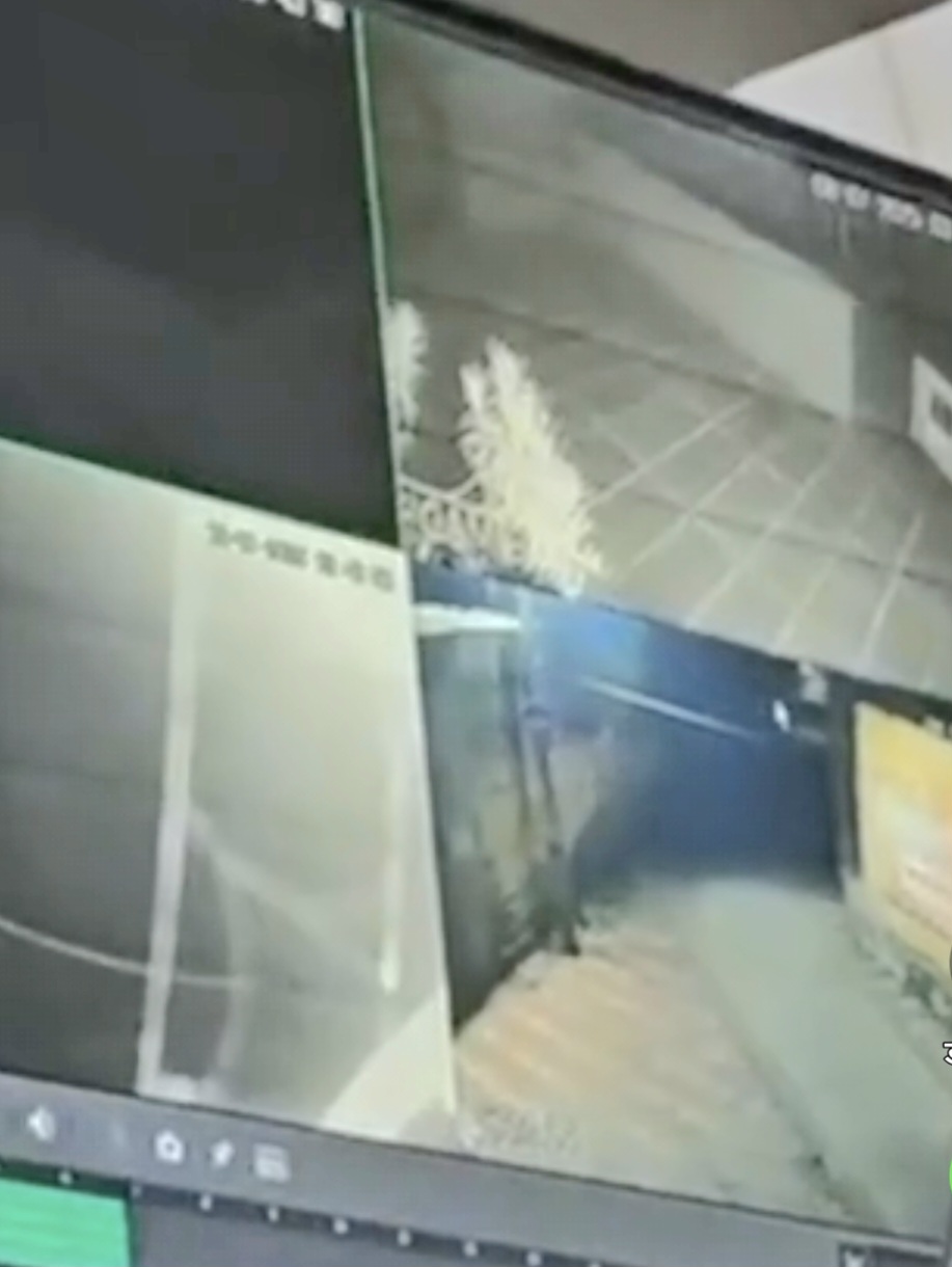 मंदिर के दानपात्र से कैश चुराए CCTV में नजर आए बदमाश