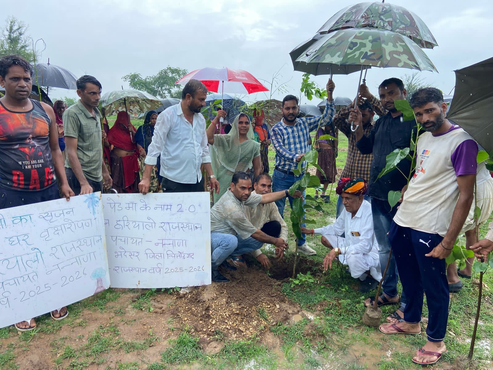 चित्तौड़गढ़ / भदेसर   - नंनाणा में किया पौधारोपण 