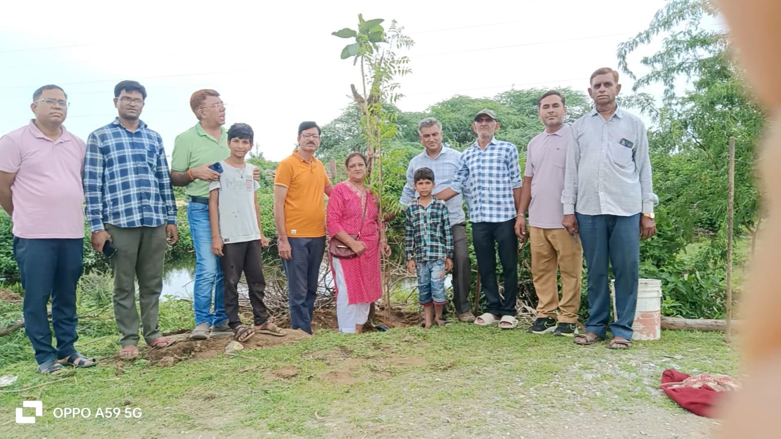 चित्तौड़गढ़ / कनेरा -  भारतीय जीवन बीमा निगम द्वारा सोनगर मार्ग पर किया पौधारोपण 