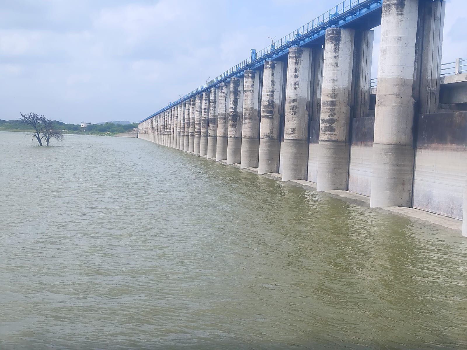  चित्तौड़गढ़ / राशमी  - मातृकुंडिया बांध में पहुंचा नंदसमंद से छोड़ा गया पानी 