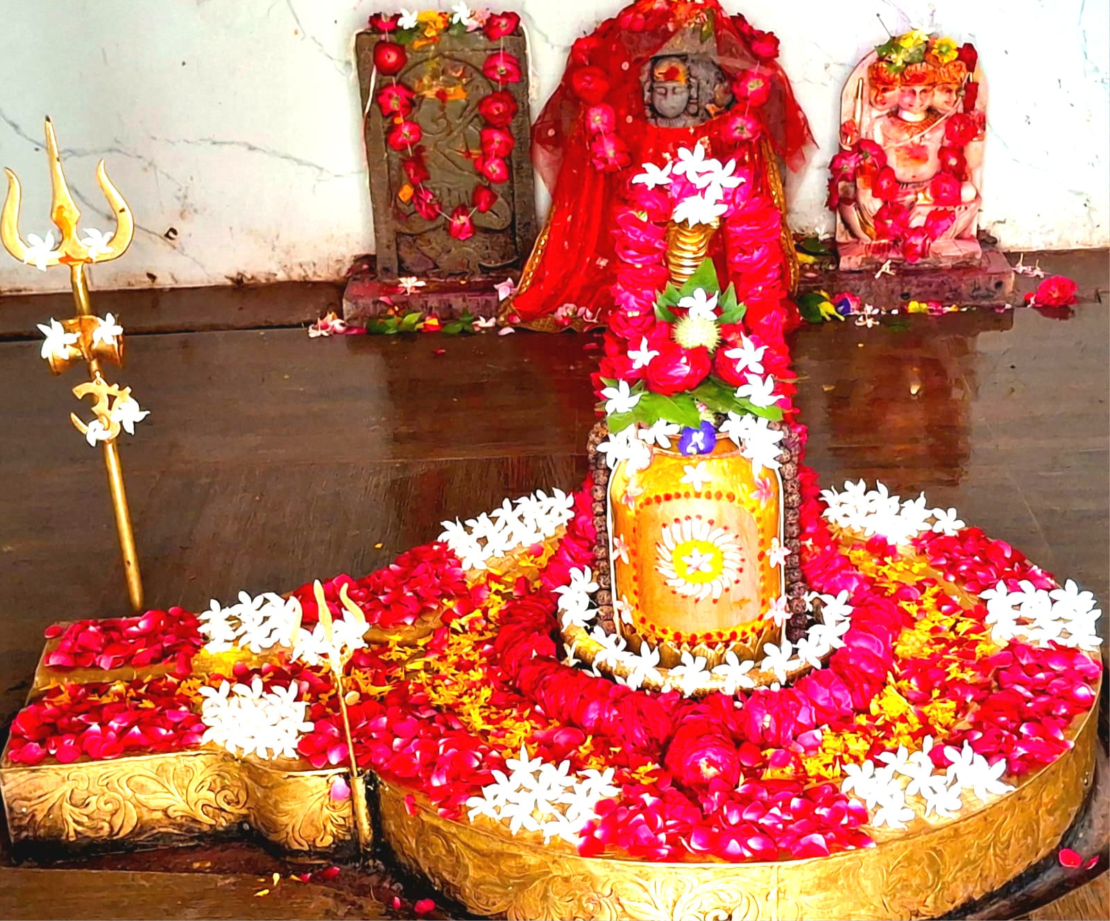 चित्तौड़गढ़  / बिनोता -  बिनोता में 2100 गुलाबों से पातेश्वर महादेव का किया श्रृंगार