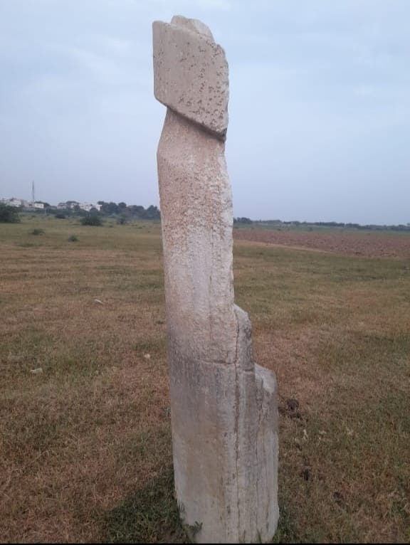 भीलवाड़ा - नांदसा के 1800 वर्ष प्राचीन यूप स्तंभ को राष्ट्रीय धरोहर घोषित करने की मांग संसद में उठी