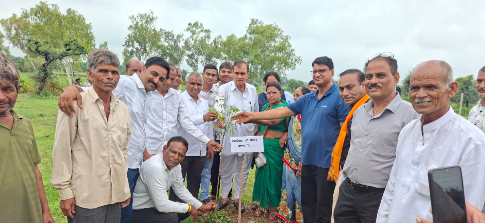 चित्तौड़गढ़ / निंबाहेड़ा - हरियालो राजस्थान अभियान के अंतर्गत हरियाली तीज पर हुआ ब्लॉक स्तरीय पौधारोपण कार्यक्रम