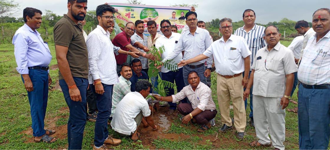  चित्तौड़गढ़ / चिकाराड़ा - पेड़ भी हलचल कर अपनी जुबानी से लोगों को करते हैं आकर्षित - एसडीएम 