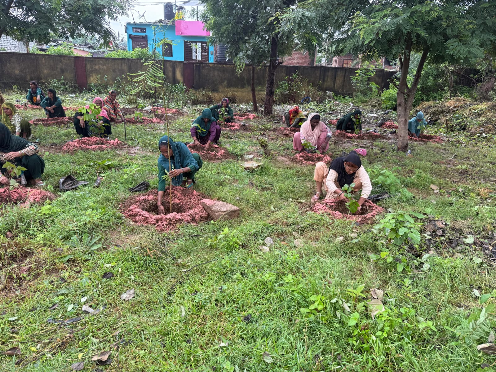 चित्तौड़गढ़ - हरियाली तीज पर हरियालो राजस्थान अभियान के अंतर्गत चित्तौड़गढ़ जिले में 6 लाख पौधों का सफलतापूर्वक रोपण
