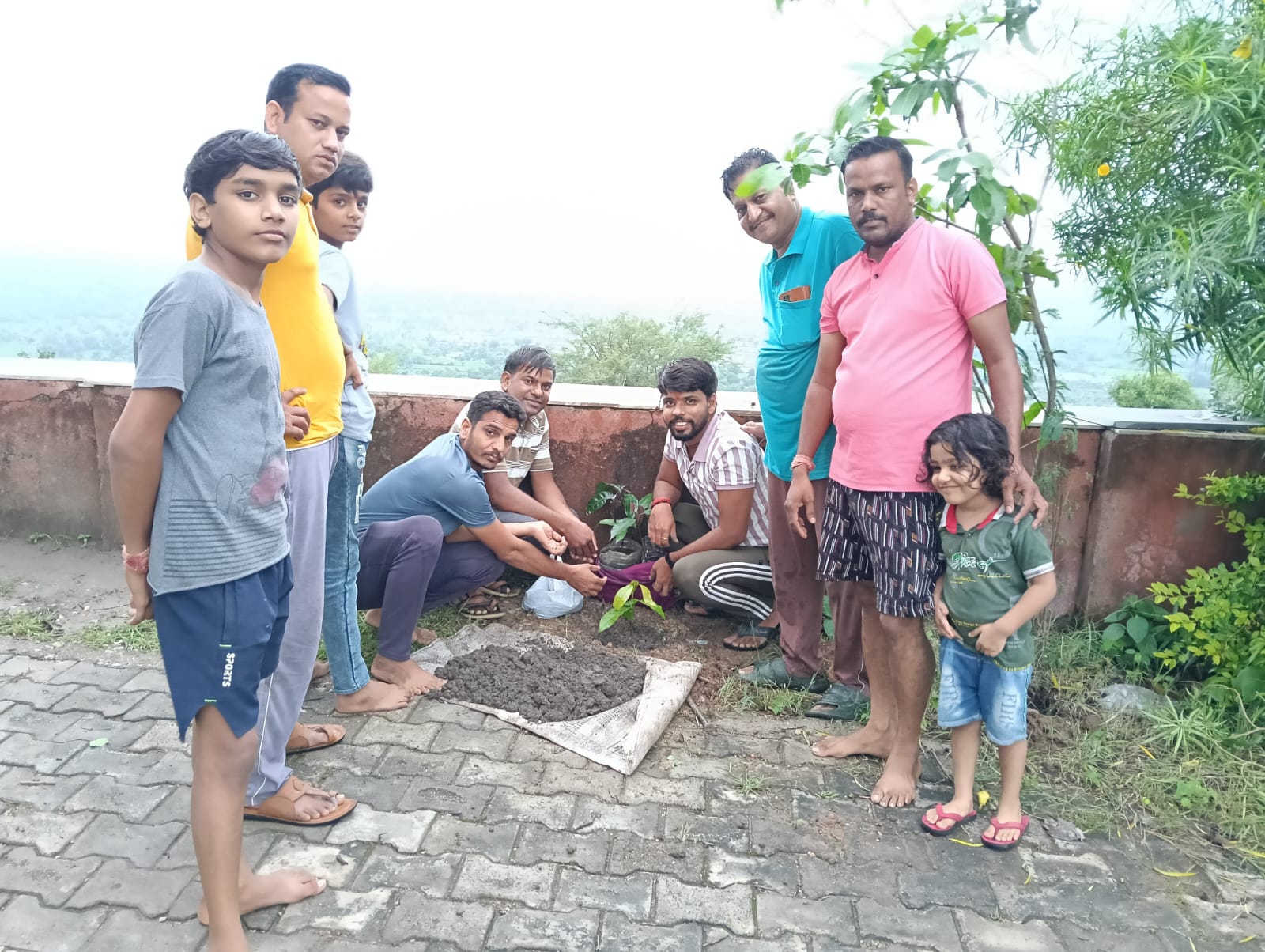  चित्तौड़गढ़ / बिनोता - सुदामा मित्र मण्डल ने किया पौधारोपण 