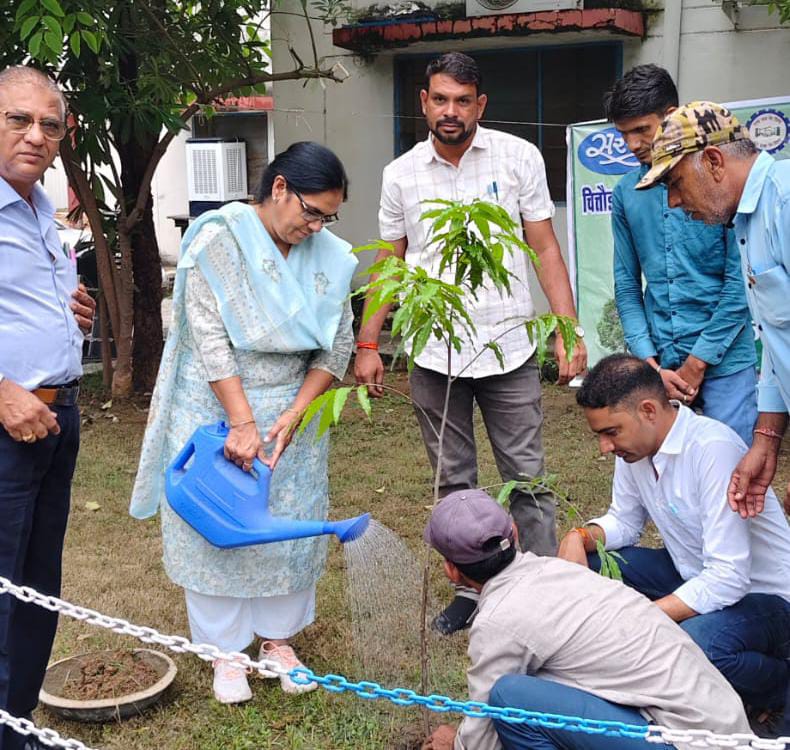  चित्तौड़गढ़ - हरियालो राजस्थान अभियान के तहत चित्तौड़गढ़ डेयरी परिसर में पौधारोपण