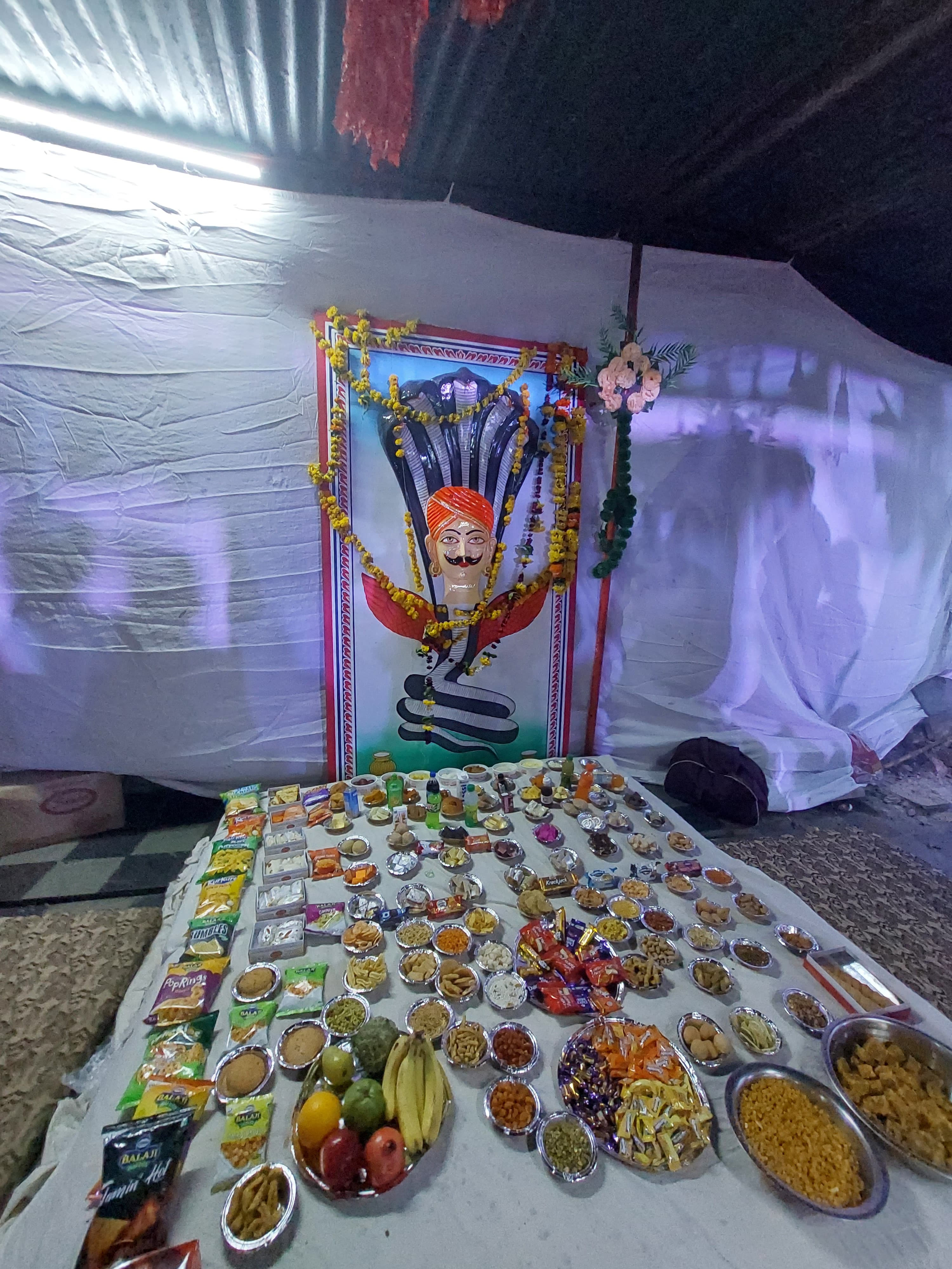चित्तौड़गढ़ - श्री कल्लाजी का जन्मोत्सव धूमधाम से मनाया, छप्पन भोग और भजन संध्या रहे मुख्य आकर्षण