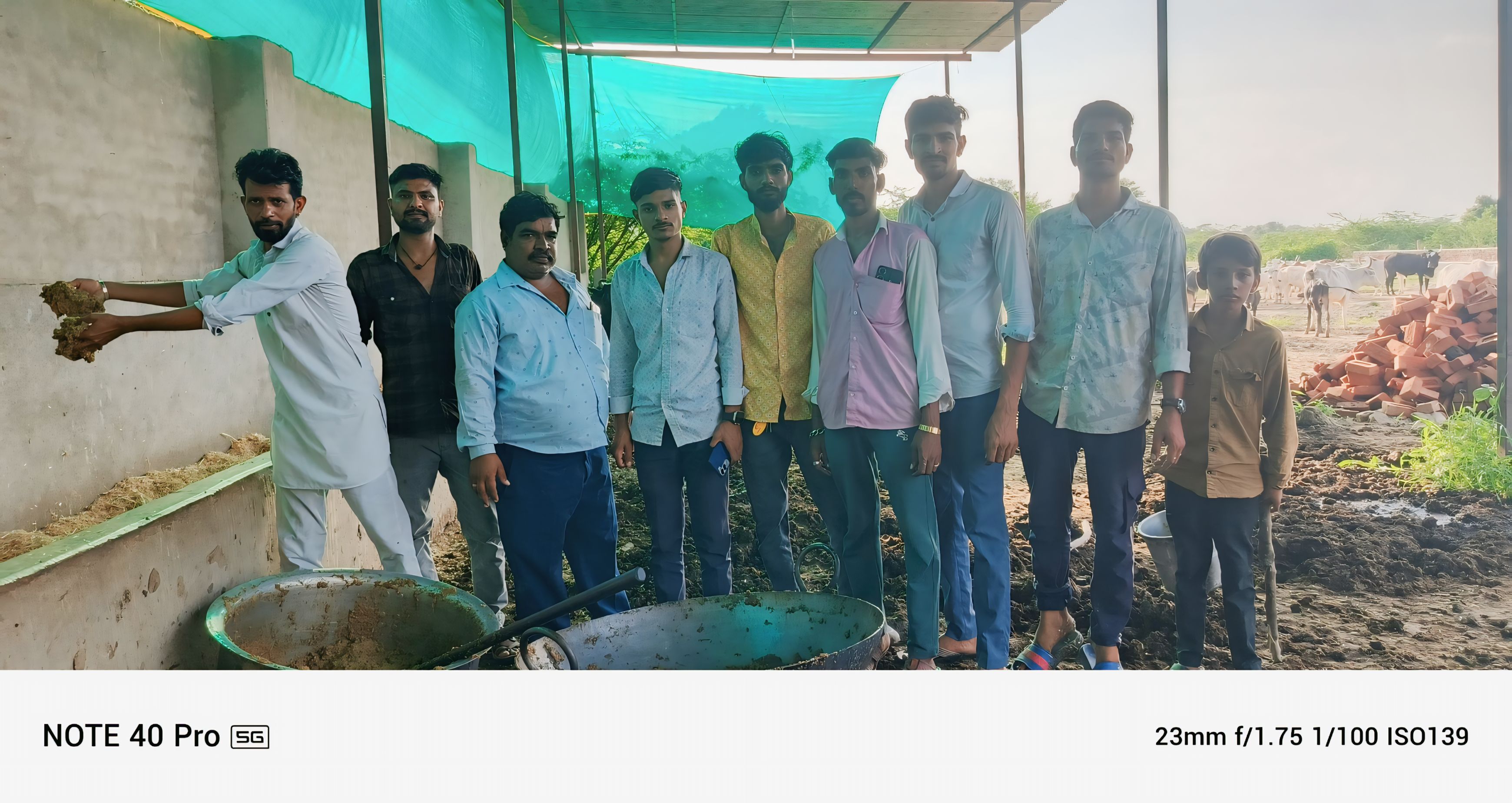 चित्तौड़गढ़ / कपासन - एकादशी पर ग्रामवासियों ने की गौ सेवा
