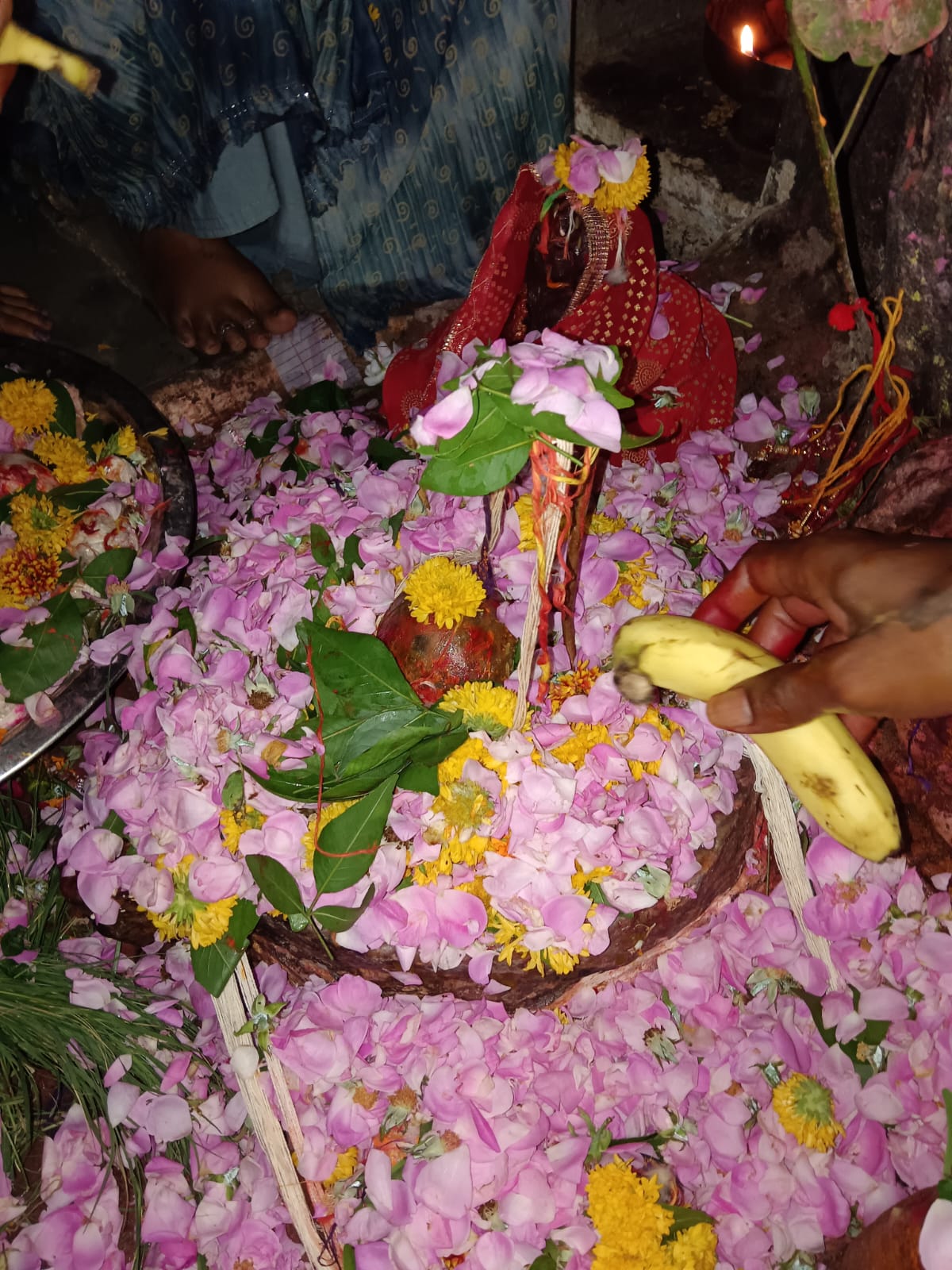 चित्तौड़गढ़ / चिकारड़ा - मंशापूर्ण महादेव की पूजा अर्चना कर लिया धर्म लाभ