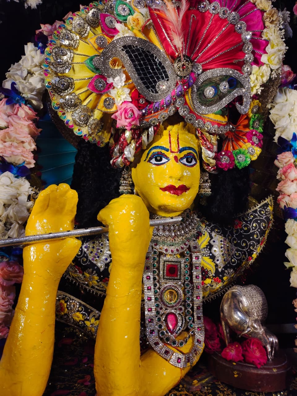 चित्तौड़गढ़ / निंबाहेड़ा -  कल्लाजी वेदपीठ पर पूरी श्रद्धा एवं उत्साह के साथ मनाया जन्माष्टमी व गौगा नवमी पर्व