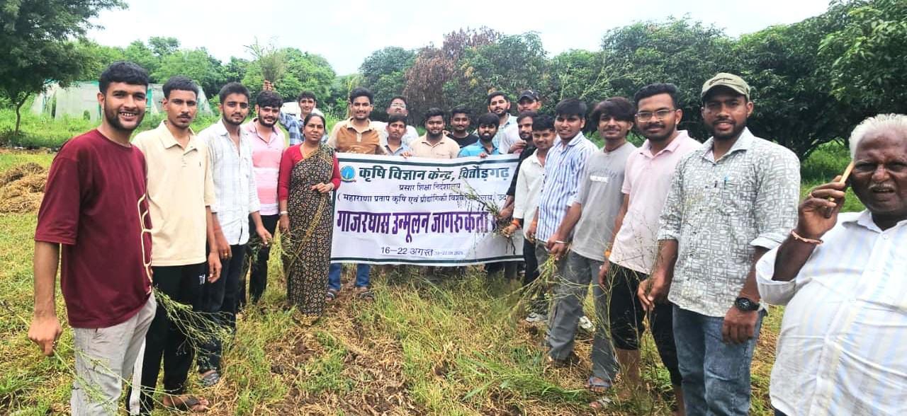 चित्तौड़गढ़  - गाजरघास जागरूकता कार्यक्रम आयोजित