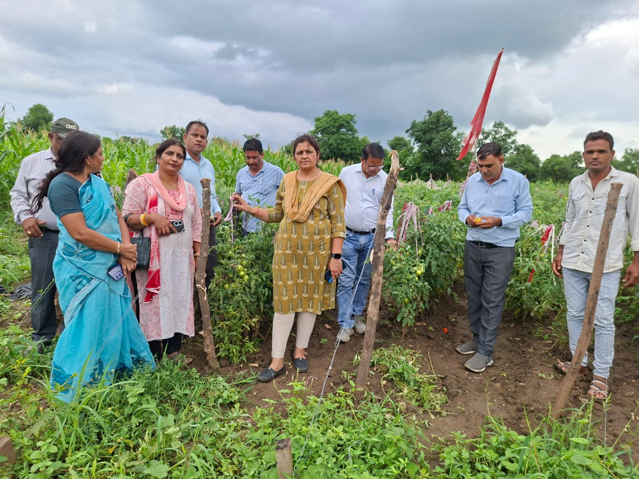 चित्तौड़गढ़ - रेपिड रोविंग सर्वे टीम ने मक्का एवं सोयाबीन फसलों का किया सर्वेक्षण