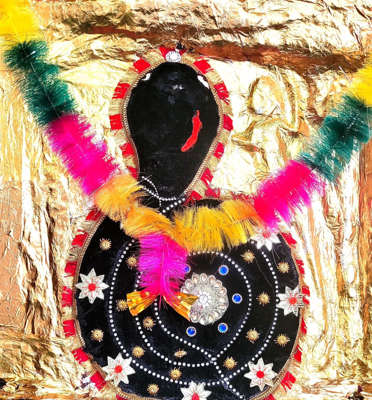 चित्तौड़गढ़ / बिनोता - खाकल देव विकास समिति की बैठक में भादवी छठ कार्यक्रम की तैयारियों पर चर्चा