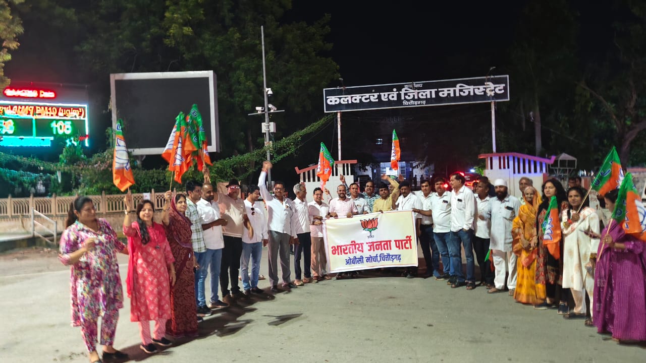 चित्तौड़गढ़ - ओबीसी मोर्चा ने आतिशबाजी कर मनाया उपराष्ट्रपति चुनाव का जश्न