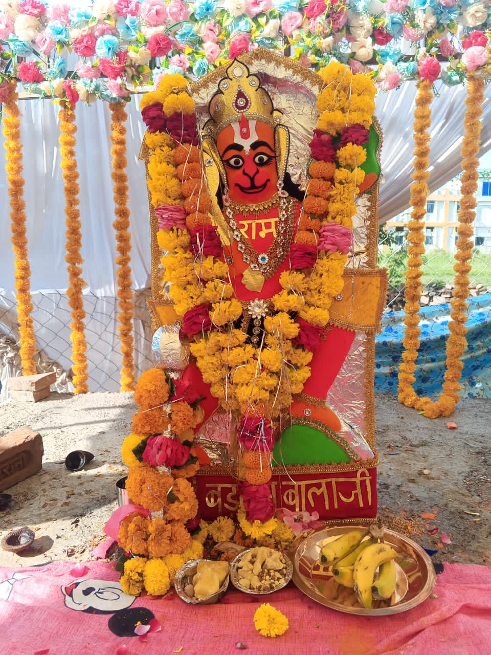 चित्तौड़गढ़ / बेगूं -  शुभ मुहूर्त में वैदिक मंत्रोच्चार के बीच हुई मूर्ति स्थापना