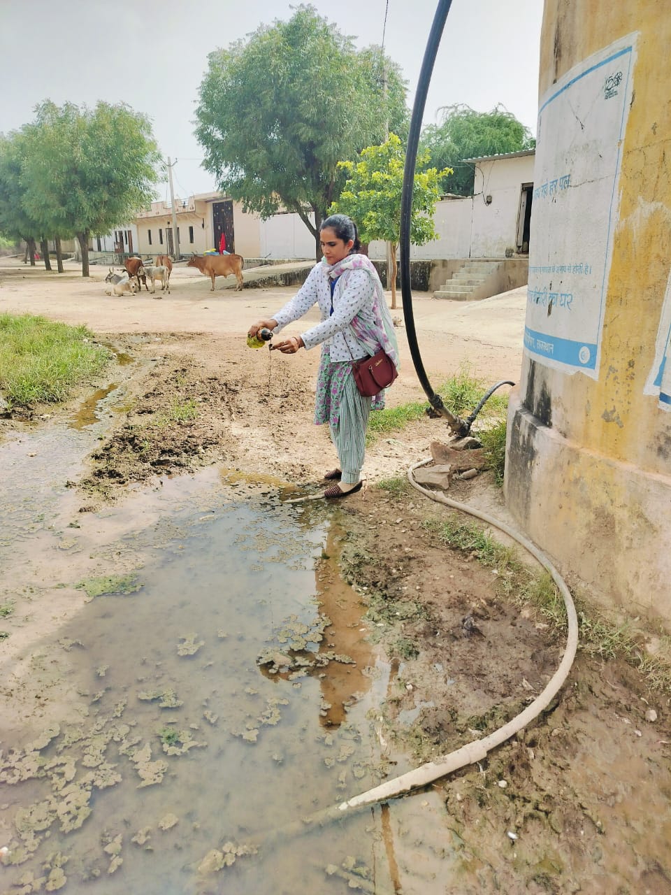 चित्तौड़गढ़ - मौसमी बीमारियों के प्रति आमजन बरते सावधानी- डॉ गुप्ता