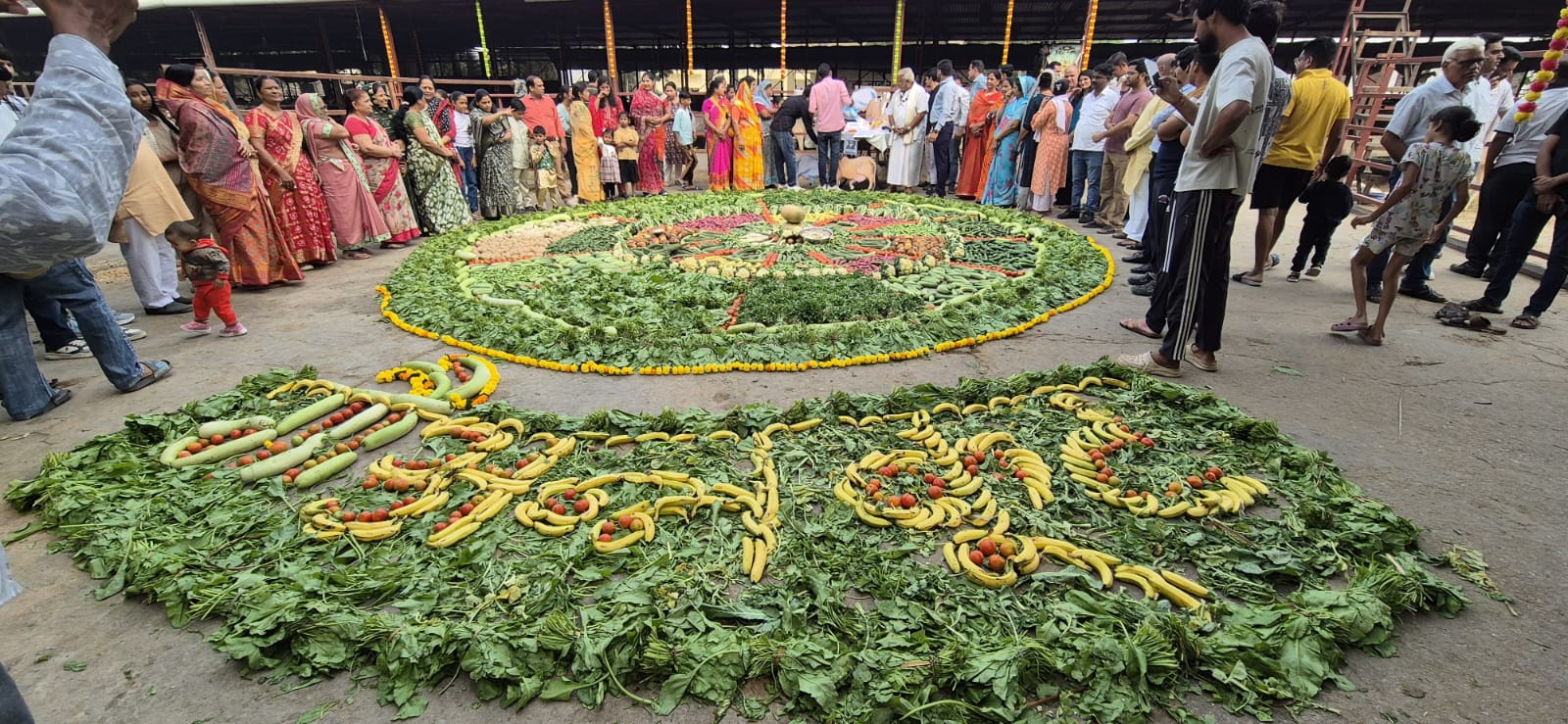 चित्तौड़गढ़ - गौ अन्नकूट: गोशाला में 1000 किलो सब्जियों से रंगोली सजाई गई, प्लास्टिक से मुक्ति का संदेश दिया