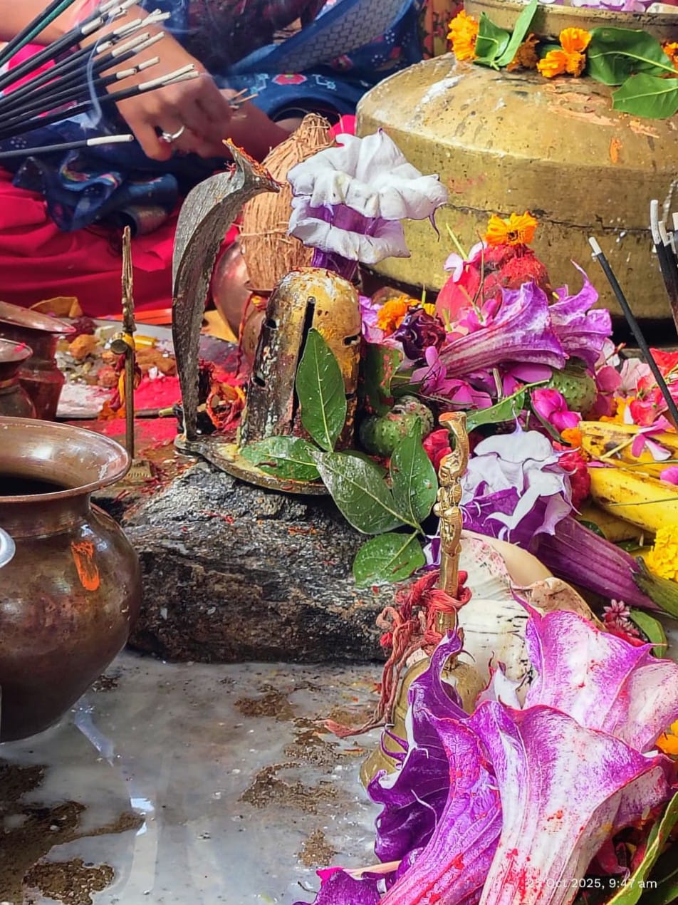 चित्तौड़गढ़ / चिकारड़ा - दिन में उद्यापन रात्रि में भजन संध्या आयोजित 