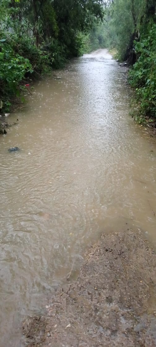 चित्तौड़गढ़ / चिकारड़ा - 16 घंटे लगातार बारिश ने खेतों गली मोहल्ला के साथ मकान में भरा पानी