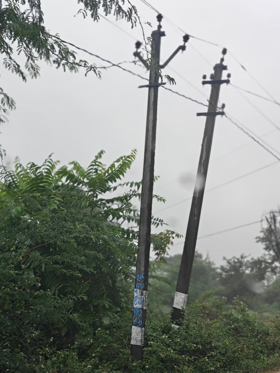 चित्तौड़गढ़ / चिकारड़ा - विद्युत निगम की लापरवाही से 13 घंटे तक अंधेरे में रहा चिकारड़ा