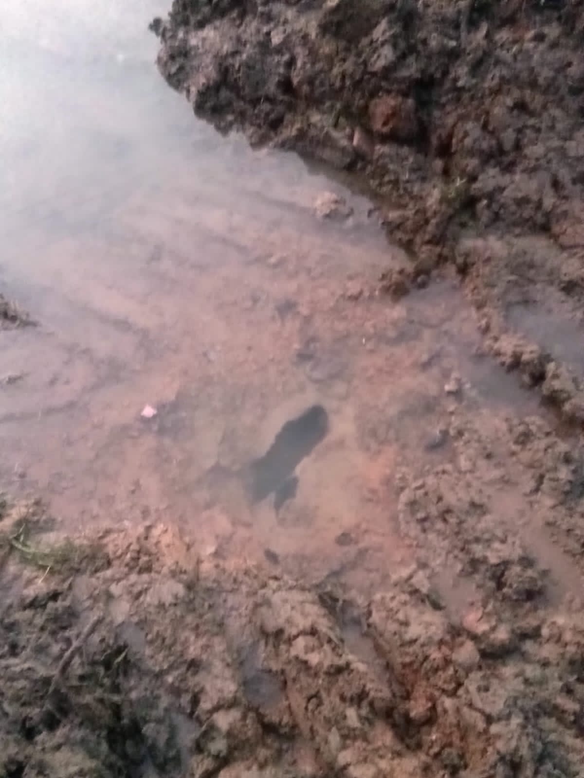 चित्तौड़गढ़ / बेगूं - पाईपलाईन क्षतिग्रस्त हो जाने से जलापूर्ति रहेगी बाधित