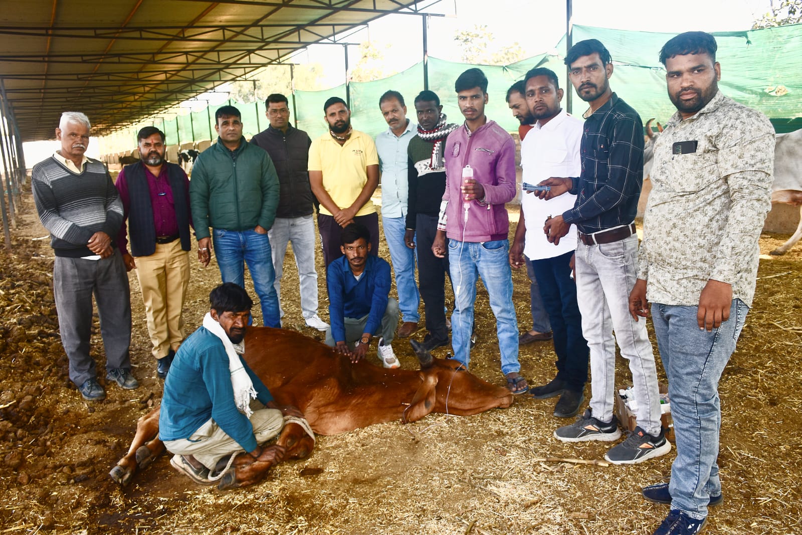 चित्तौड़गढ़ / निंबाहेड़ा - अरनोदा गौशाला में एकदिवसीय पशु चिकित्सा शिविर का सफल आयोजन