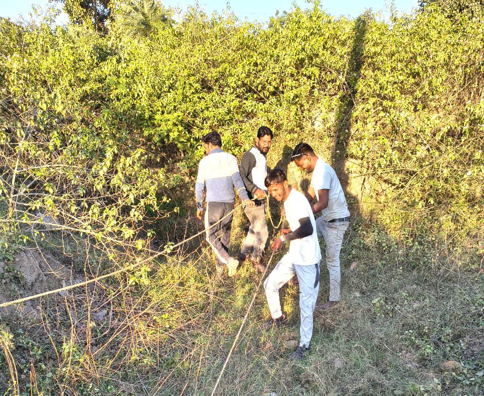 चित्तौड़गढ़ / बिनोता - गांगुली नदी से मृत गोवंश को बाहर निकालकर बजरंग दल-विहिप कार्यकर्ताओं ने निभाई जिम्मेदारी