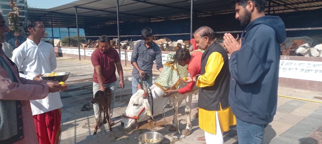 चित्तौड़गढ़ / निंबाहेड़ा - संस्कृत संभाषण सनातन संस्कृति की मूल धरोहर हैं – हिमांजय पालीवाल