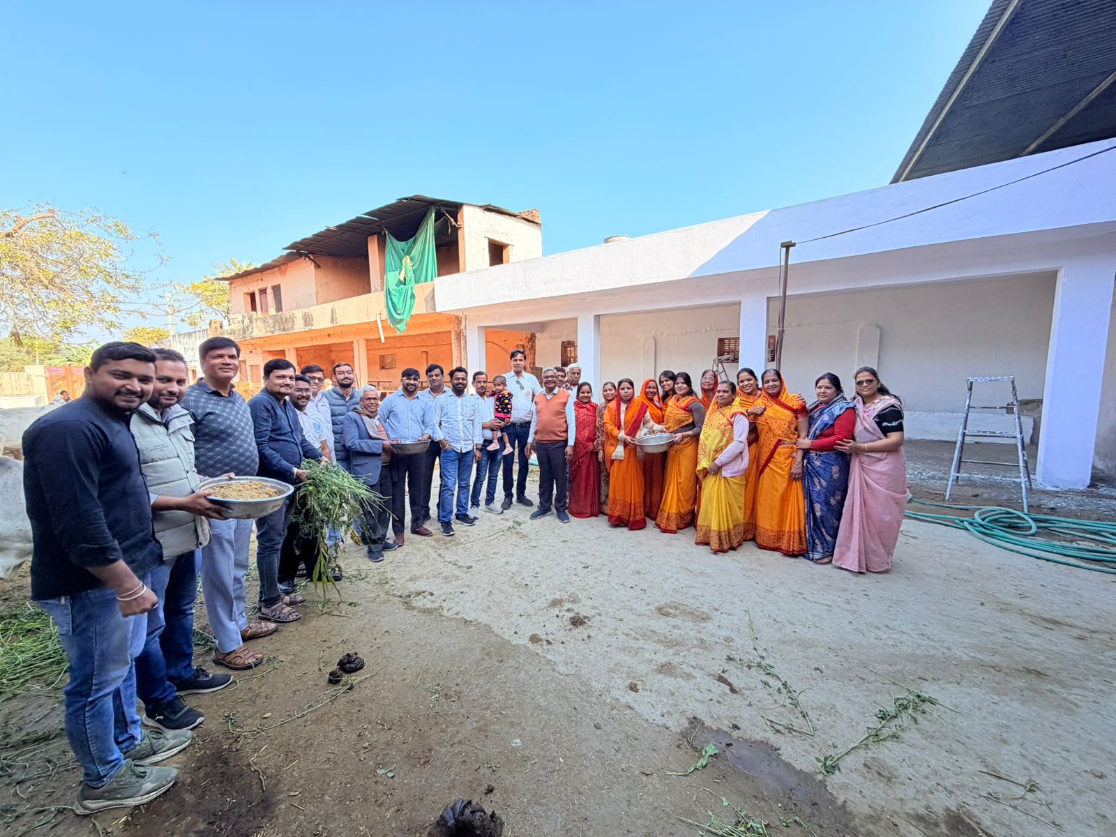 चित्तौड़गढ़ / कपासन - जीव दया सप्ताह के तहत गौ माता को लगाया हरा चारा एवं लाप्सी का भोग