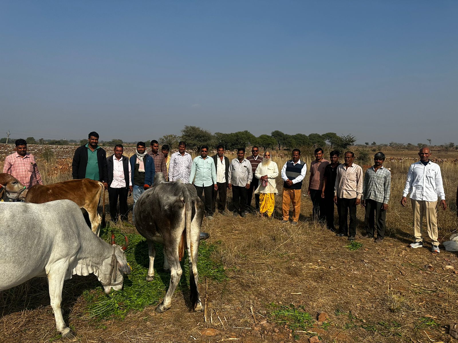 चित्तौड़गढ़ / कनेरा - मारुति नंदन गौशाला में मनाया मकर संक्रांति का पर्व