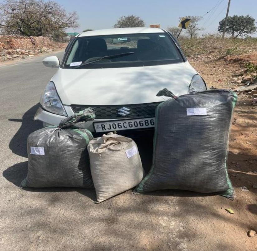 चित्तौड़गढ़ / कनेरा - पुलिस ने पकड़ा 43 किलो डोडा-चुरा, कार के साथ एक आरोपी गिरफ्तार, 5 फर्जी नंबर प्लेट बरामद