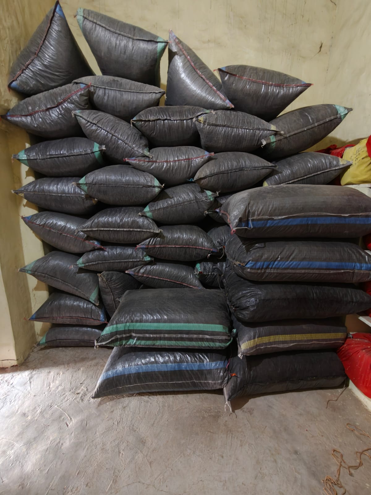 चित्तौड़गढ़ - पुलिस ने पकड़ा 913 किलो से अधिक डोडा-चूरा जब्त, तस्करों के मंसूबों पर फिरा पानी